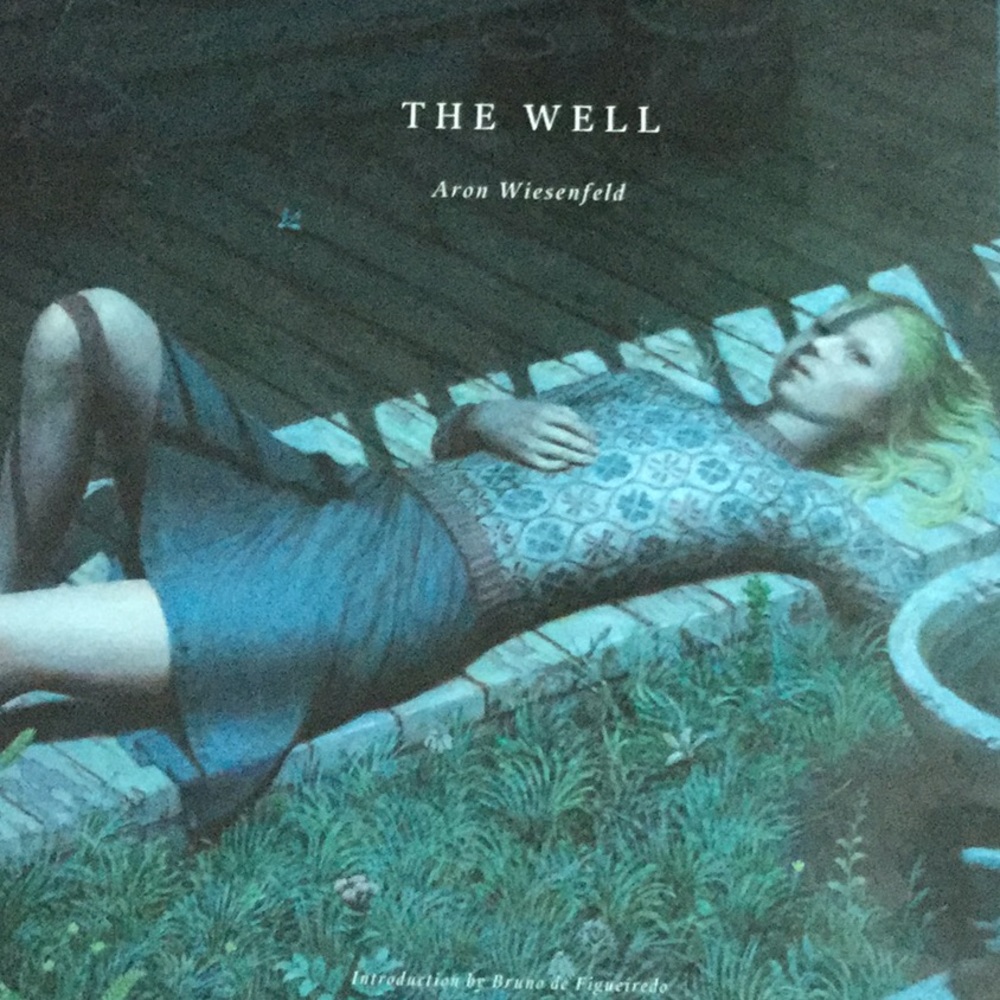 Aron Wiesenfeld art book, The Well